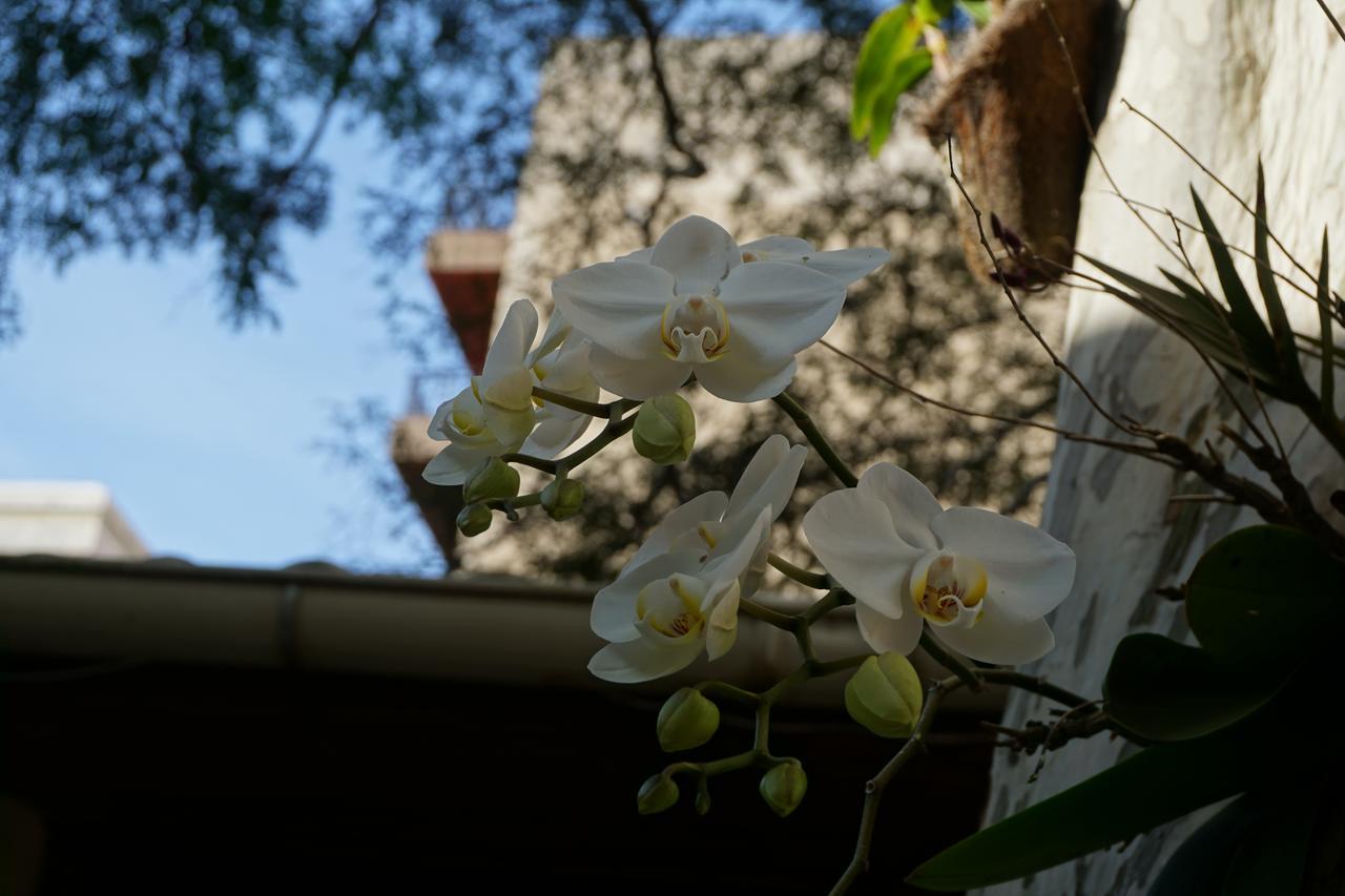 卡波布里奥Pouso Da Garca住宿加早餐旅馆 外观 照片